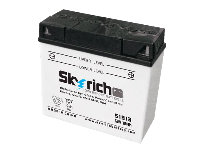 Продажа SKYRICH Аккумулятор 51913